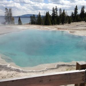 Meet your Posher, Marlene