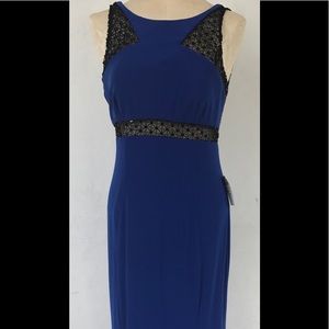 Stunning Cache dress size 10 BNWT