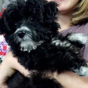 Meet your Posher, Katelyn