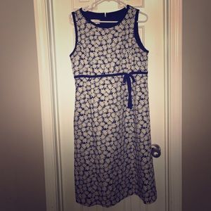 Talbots Daisy Dress
