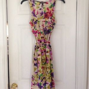 Express Floral Dress