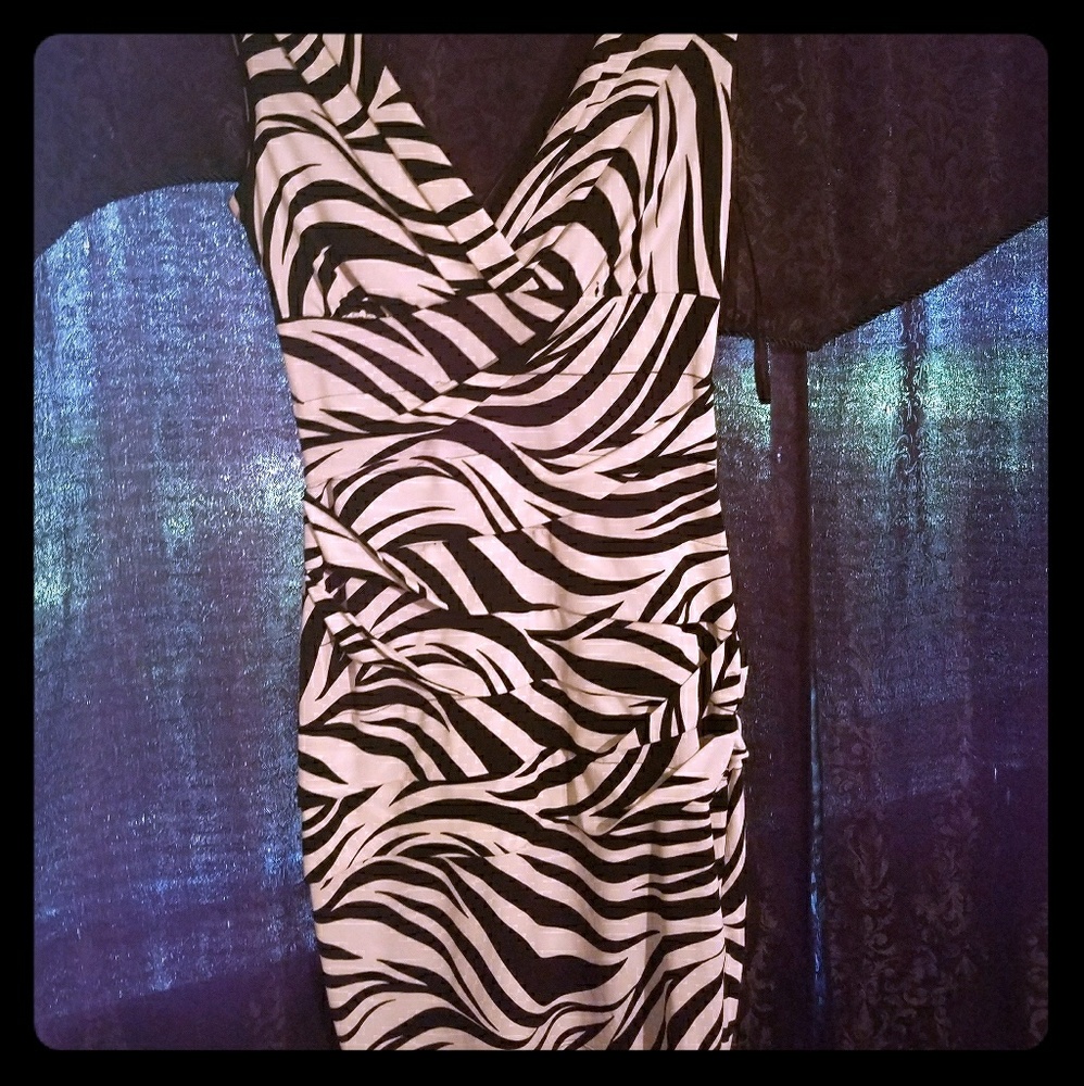 Sweet storm mini zebra dress