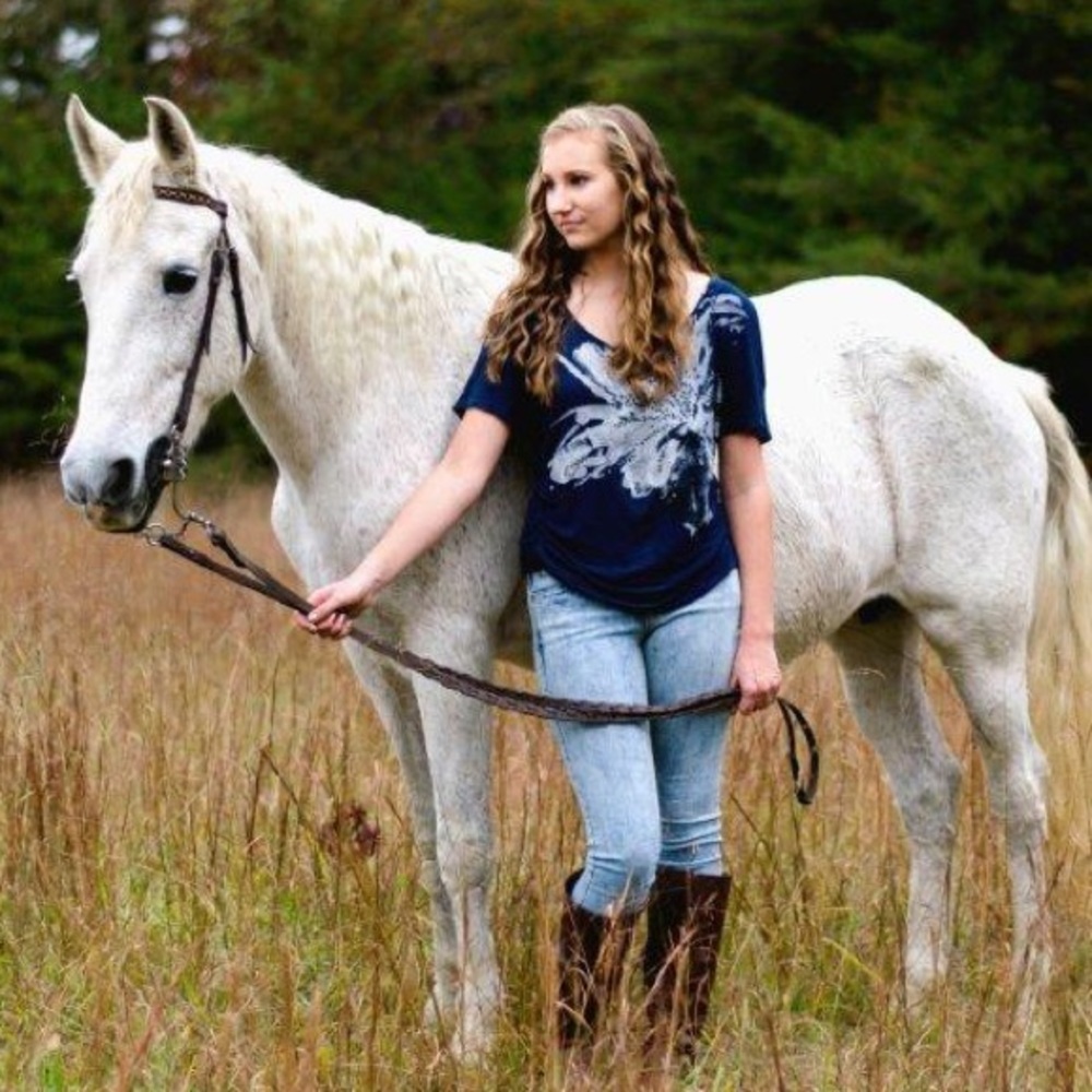 ISO HORSE (Cob/ Paso fino/ gaited) TACK AND ITEMS