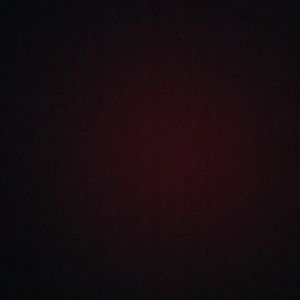 Meet your Posher, Dennis