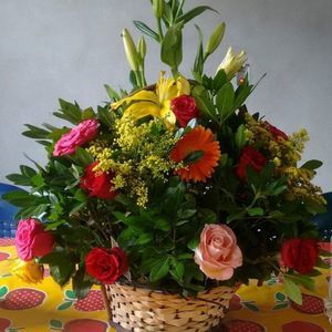 Meet your Posher, Sandra