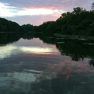 Meet your Posher, Lacey