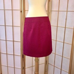 Ann Taylor Loft skirt