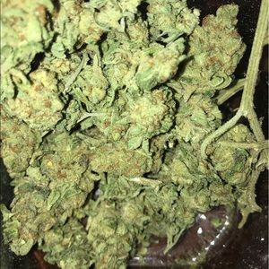 Meet your Posher, Alfredo