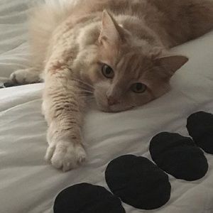 Meet your Posher, Ashlyn