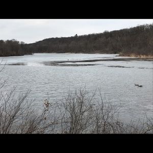 Meet your Posher, Lynn