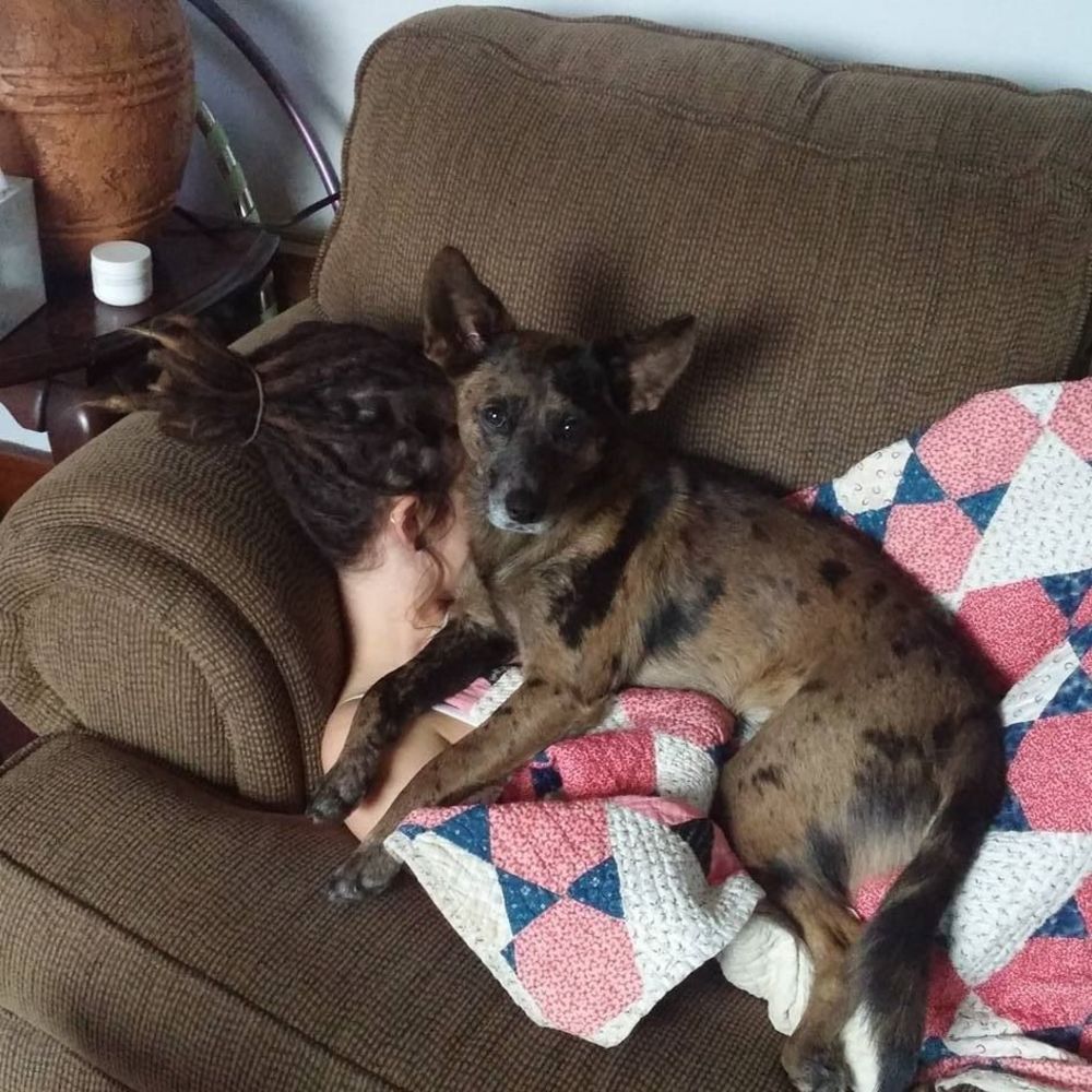 Meet your Posher, Aleka