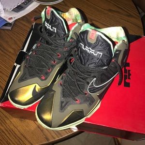 Lebron 11