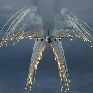 Meet your Posher, Katrina