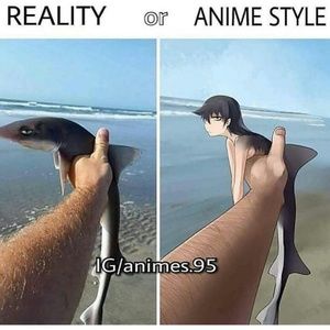 Meet your Posher, Dorothy