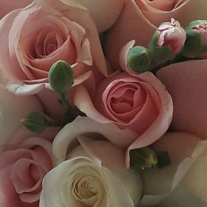 Meet your Posher, Fatima