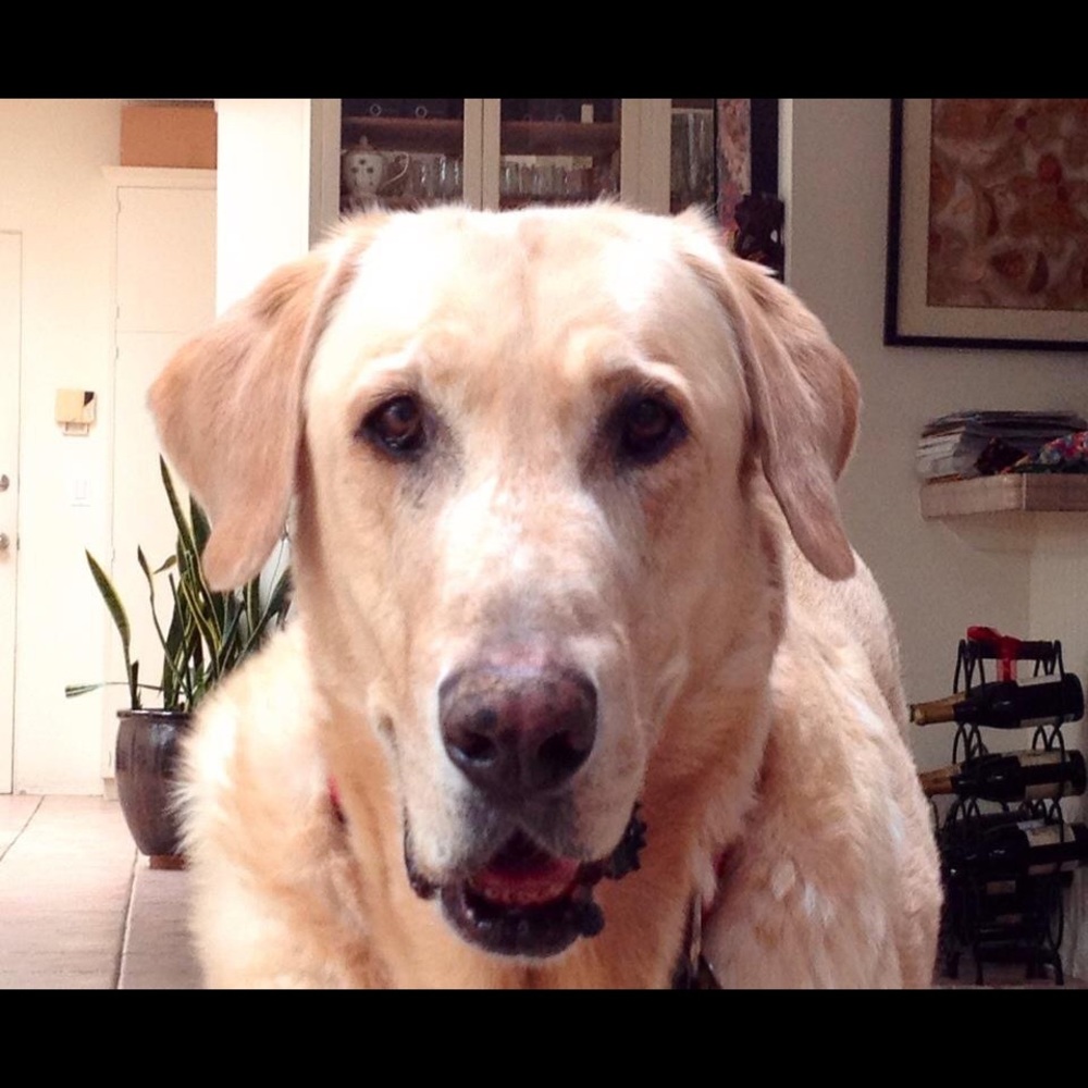 Meet your Posher, Naila