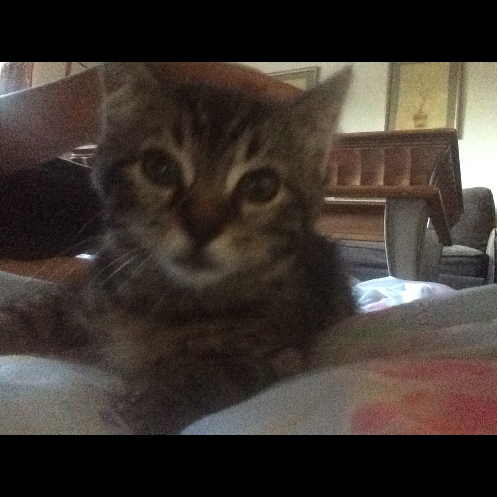 Meet your Posher, Nere