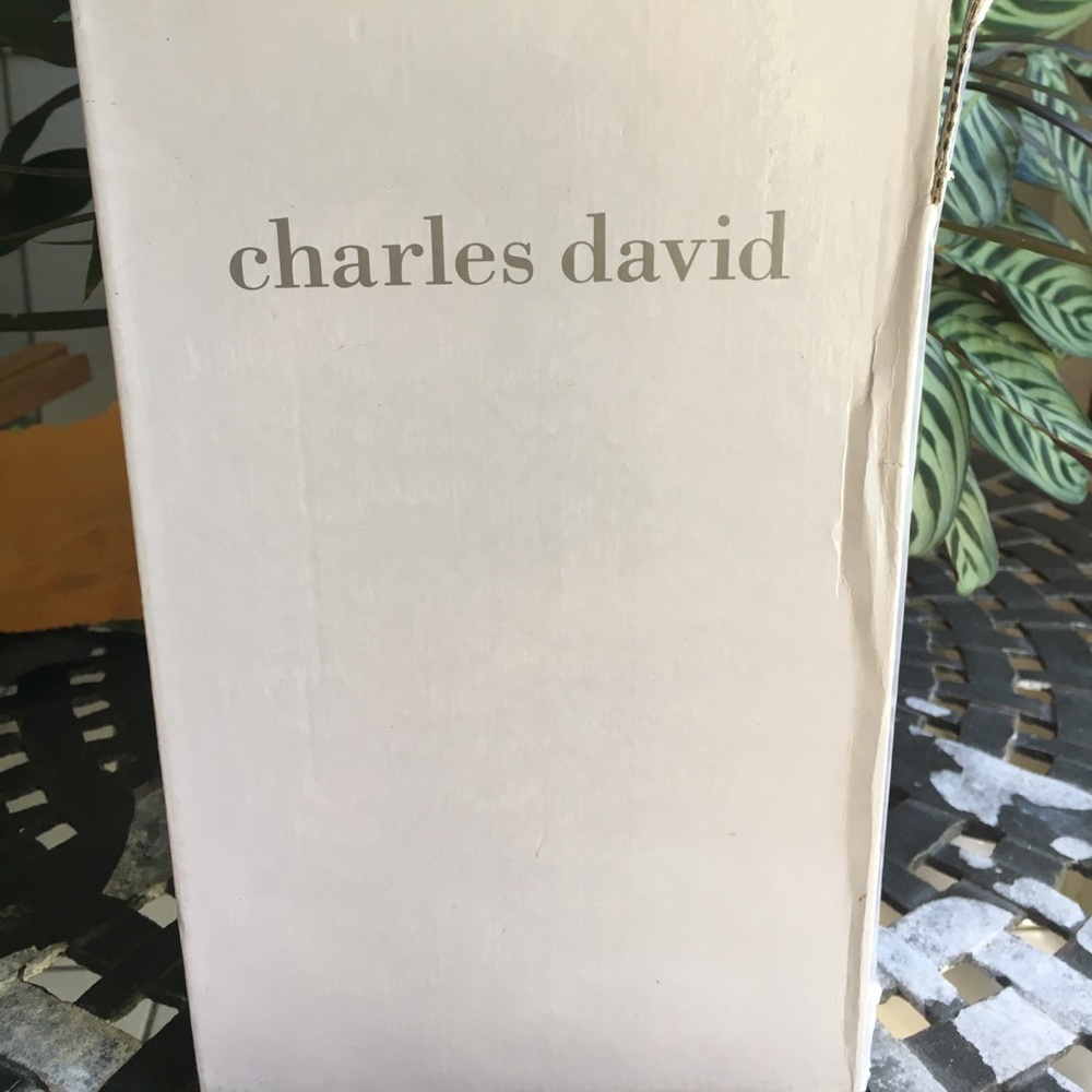 Charles David Black Leather Sandal
