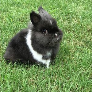 Meet your Posher, Emma