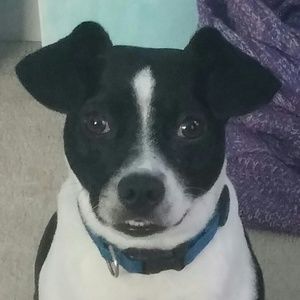 Meet your Posher, Ruby