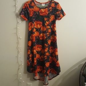 XXS Carly Lularoe