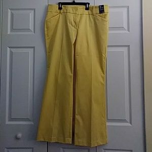 Yellow new wild pants