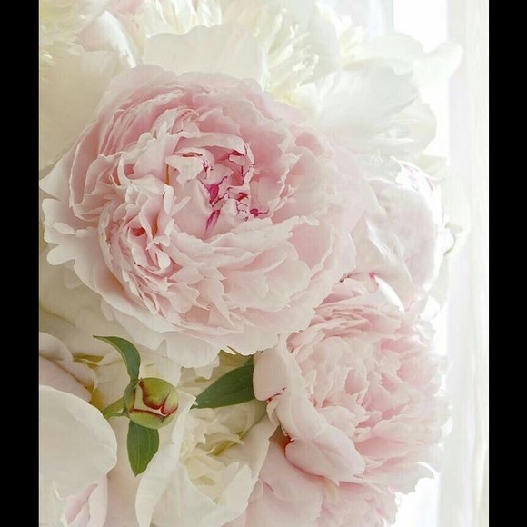 Meet your Posher, Barbara - Picture 1 of 1