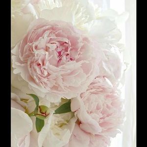 Meet your Posher, Barbara