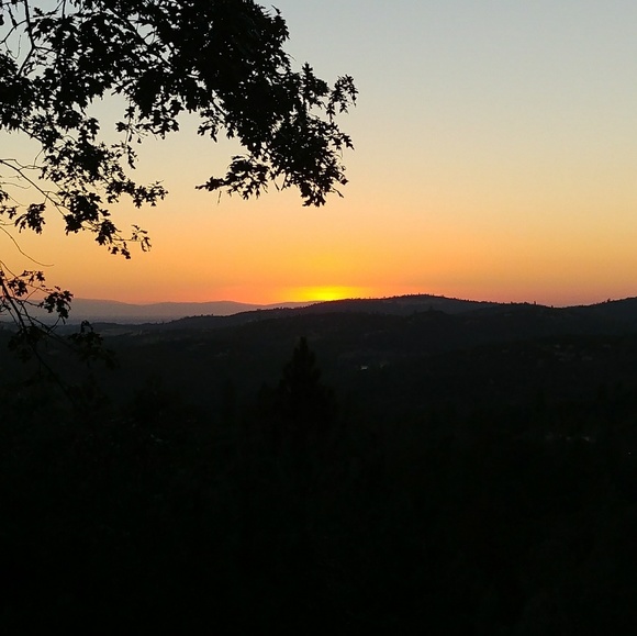 Meet your Posher, Tahlia - Picture 1 of 1