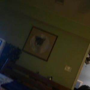 Meet your Posher, Sandy