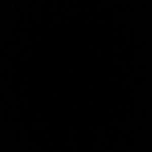 Meet your Posher, Julio