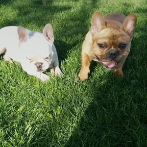 Meet your Posher, Derrick