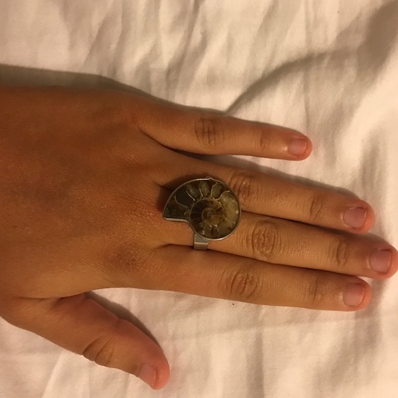 Shell ring - Picture 1 of 2
