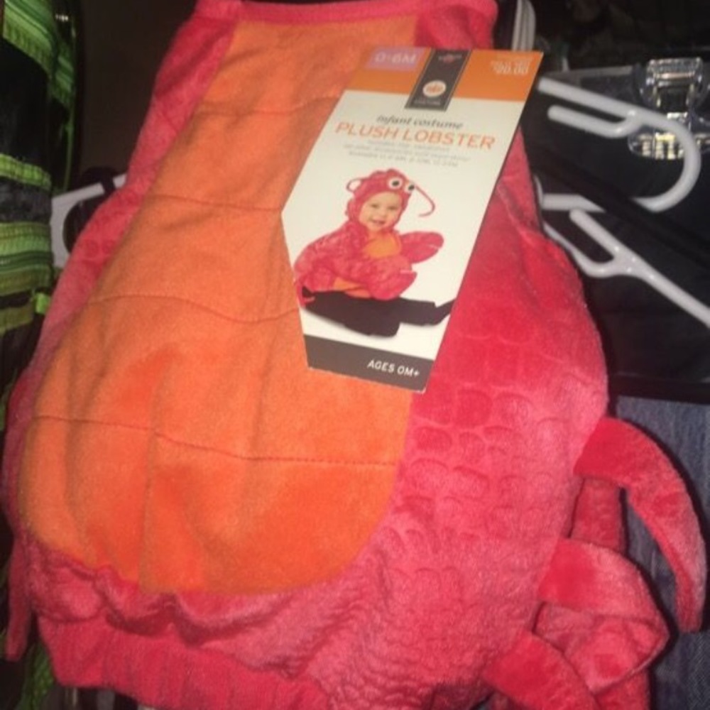 0-6 month baby Halloween costume