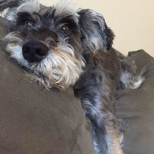 Meet your Posher, Erin