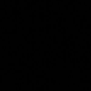 Meet your Posher, Daisy