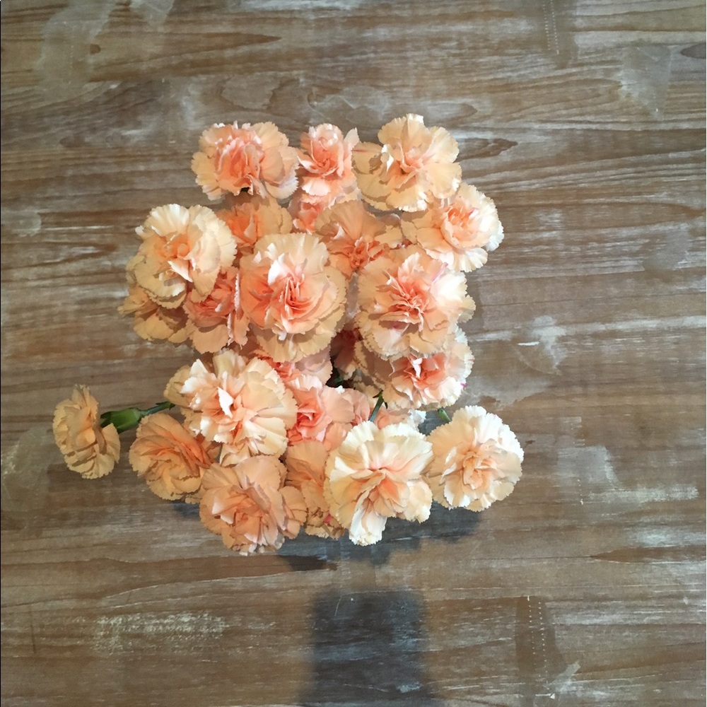 Meet your Posher, Elise