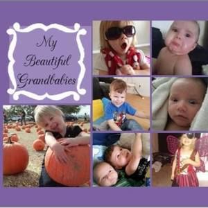 Meet your Posher, Teresa