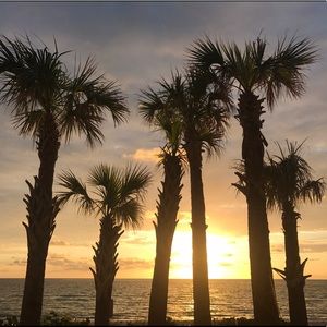 Meet your Posher, Kendra