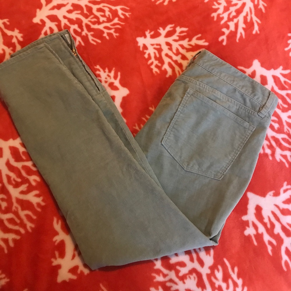 Mint J. Crew Toothpick Cords Size 30