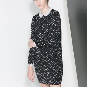 Zara Peter Pan Polka Dot Dress