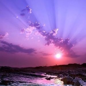 Meet your Posher, Sandy