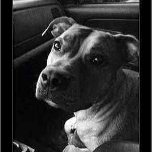 Meet your Posher, Vicki