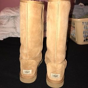 BRAND NEW NEVER WARN CHESTNUT UGGS (RESERVED) ❗️❗️