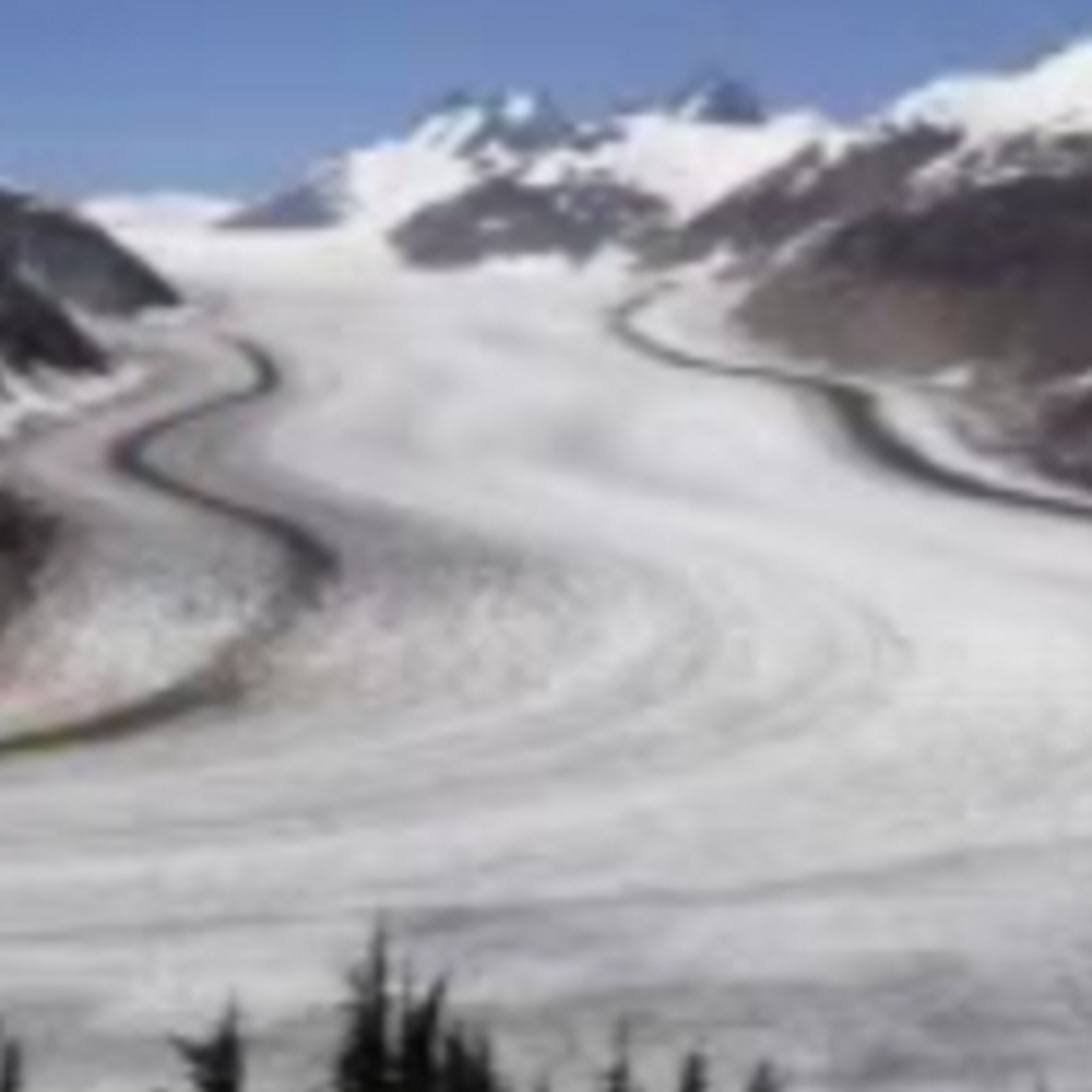 Meet your Posher, Davis