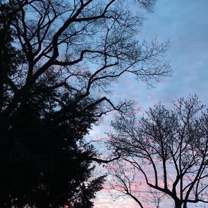 Meet your Posher, Trish