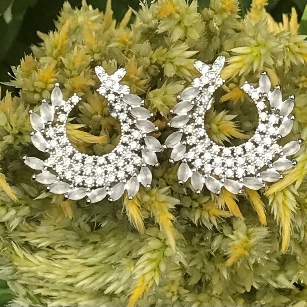 🍯Premiun Exotic Earring🍯