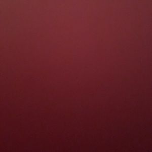 Meet your Posher, Mireya