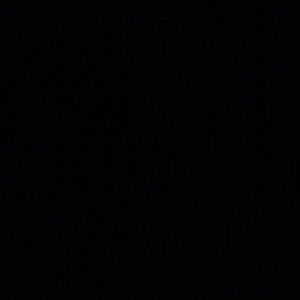 Meet your Posher, Jamar