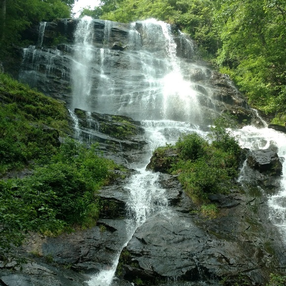 Meet your Posher, Tashina - Picture 1 of 1